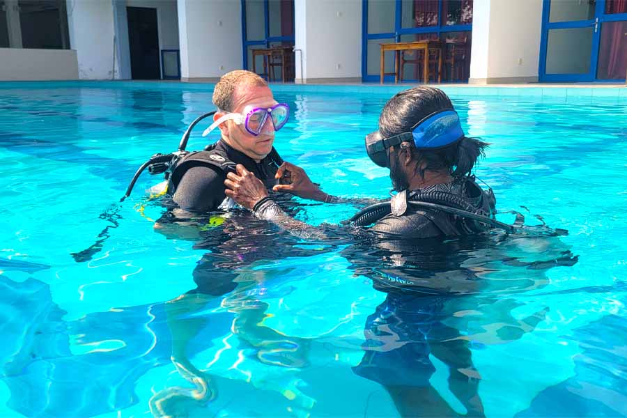 Padi Courses